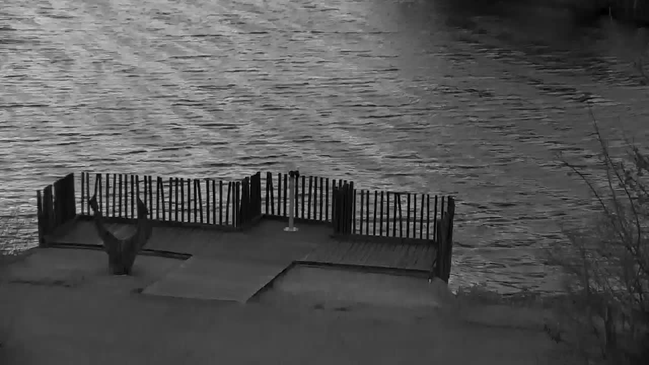 Web kamera Ribnik Vrbje – Žalec