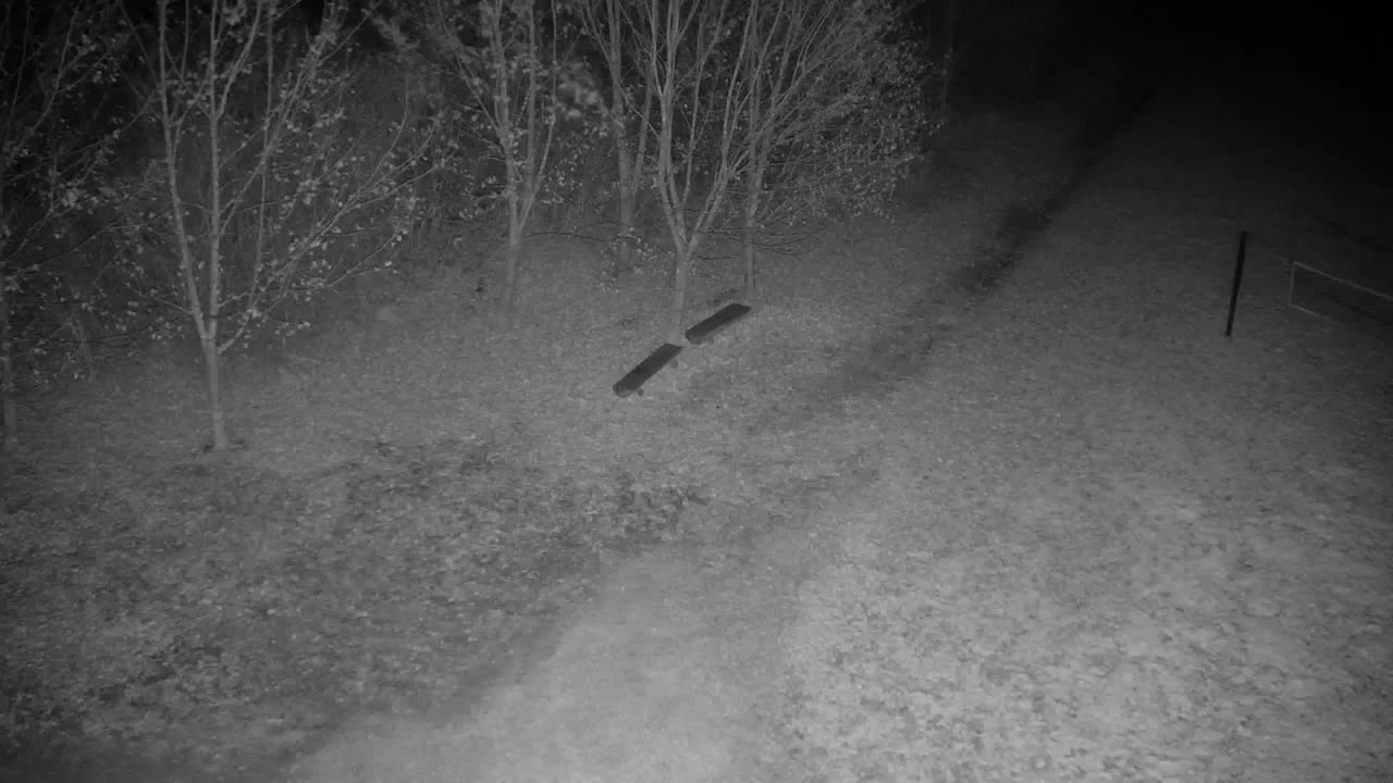 Webcam Ribnik Vrbje – Žalec