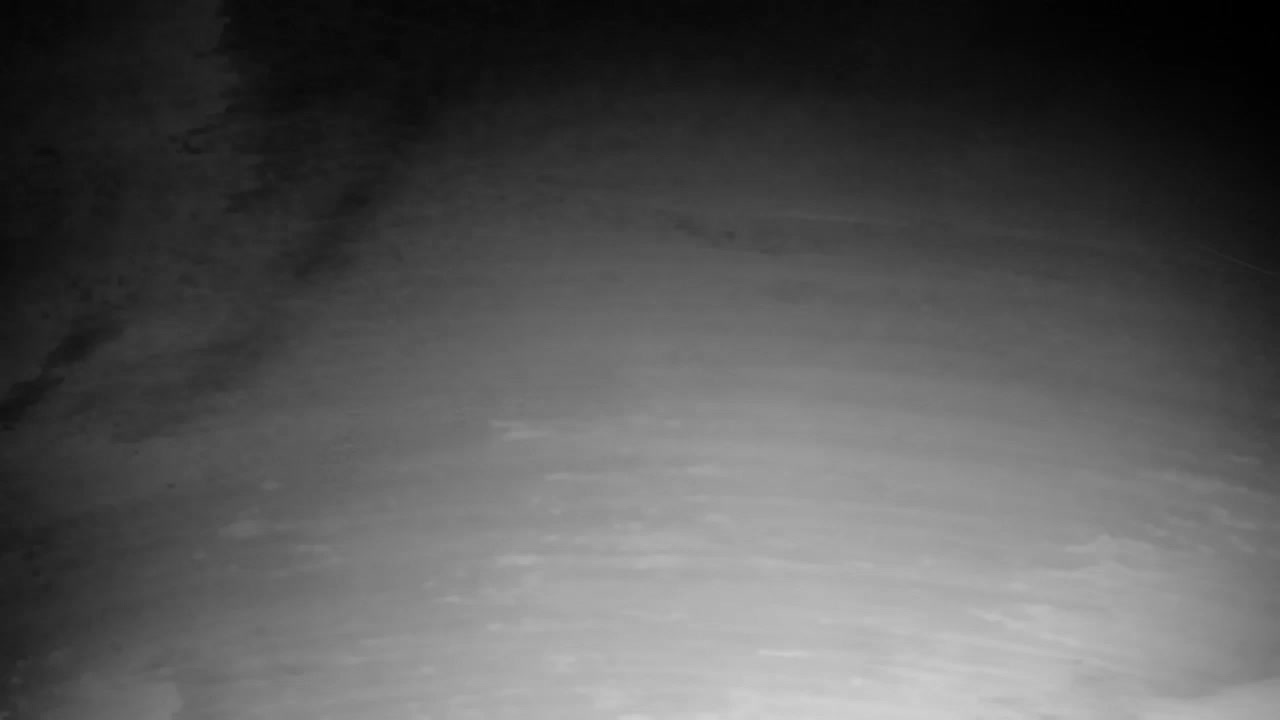 Webcam Ribnik Vrbje – Žalec