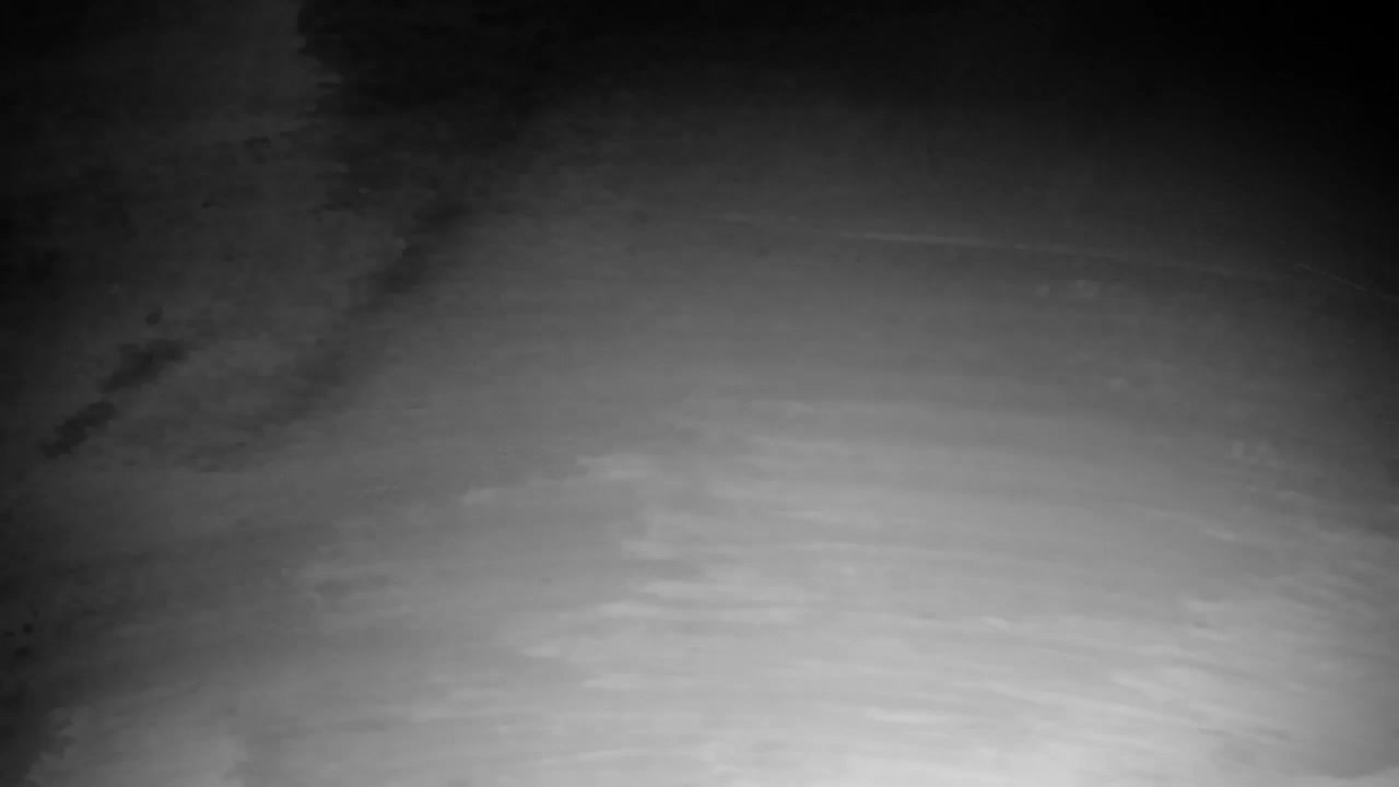 Webcam Ribnik Vrbje – Žalec