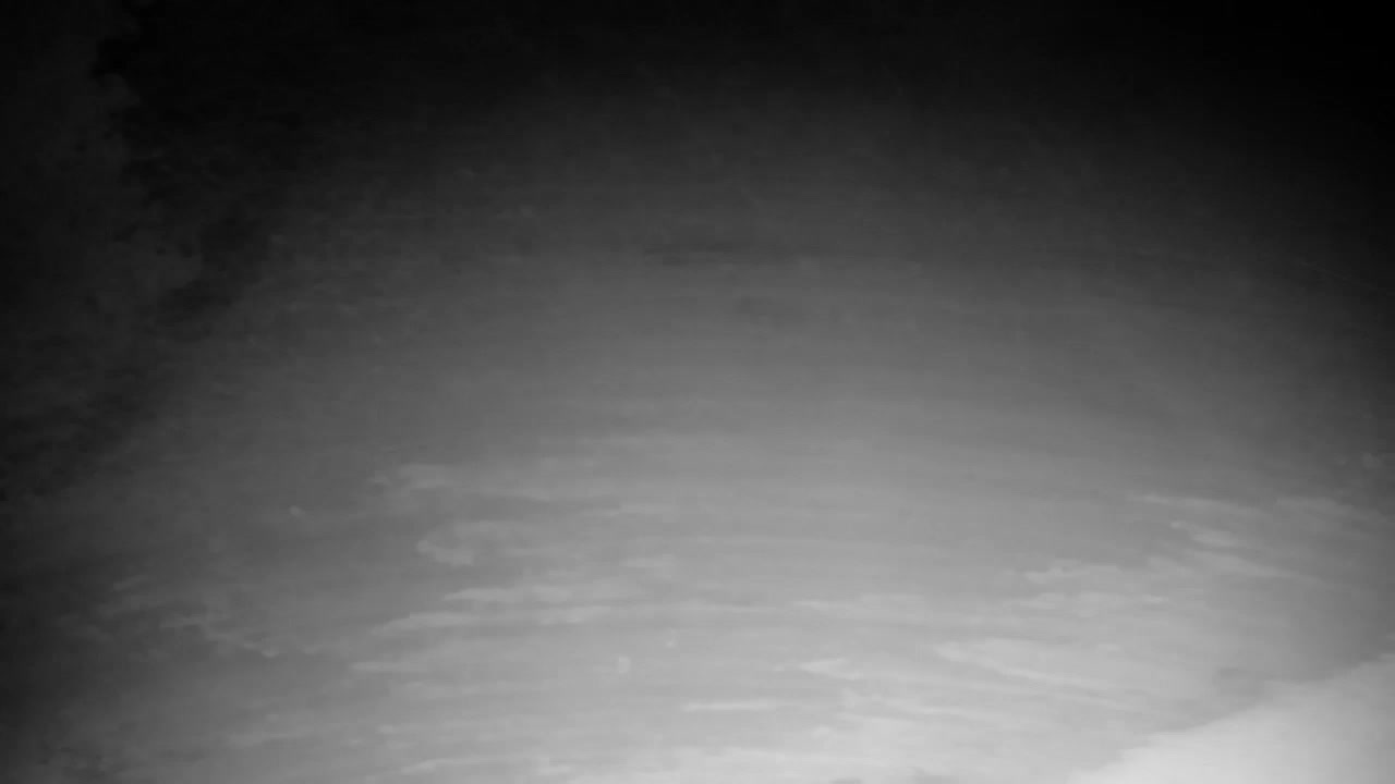 Webcam Ribnik Vrbje – Žalec