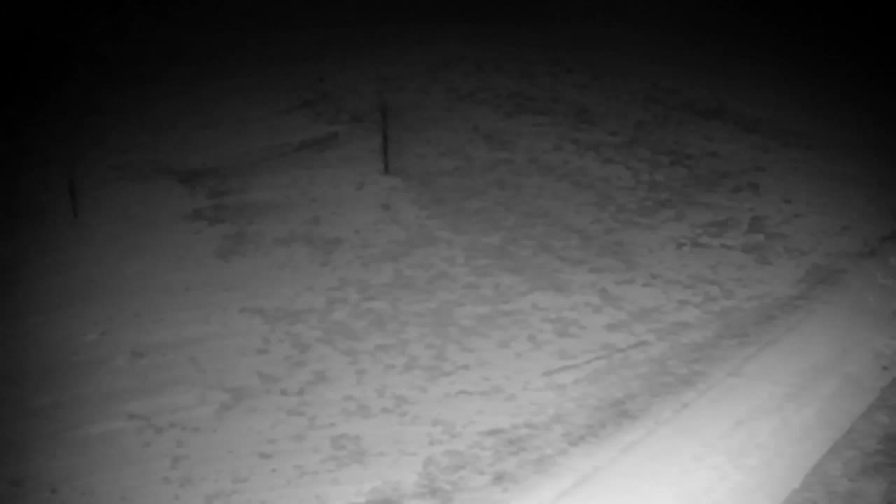 Webcam Ribnik Vrbje – Žalec