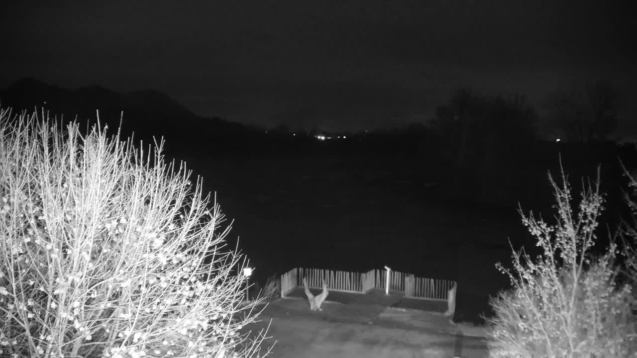 Webcam Ribnik Vrbje – Žalec