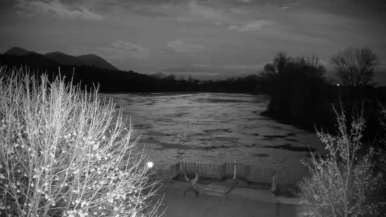 Webcam Ribnik Vrbje – Žalec