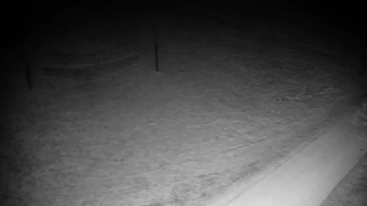 Webcam Ribnik Vrbje – Žalec