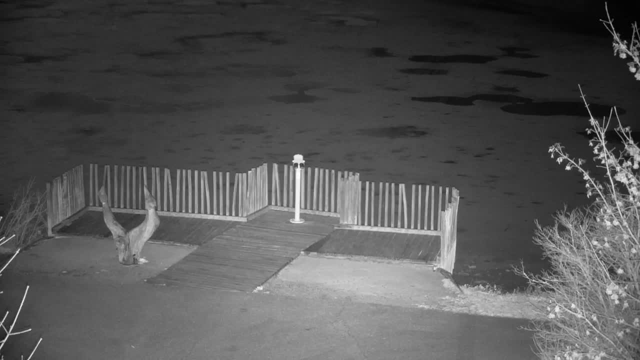 Webcam Ribnik Vrbje – Žalec