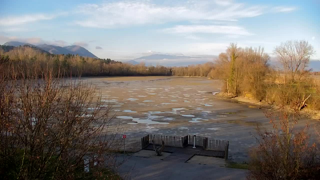 Webcam Ribnik Vrbje – Žalec