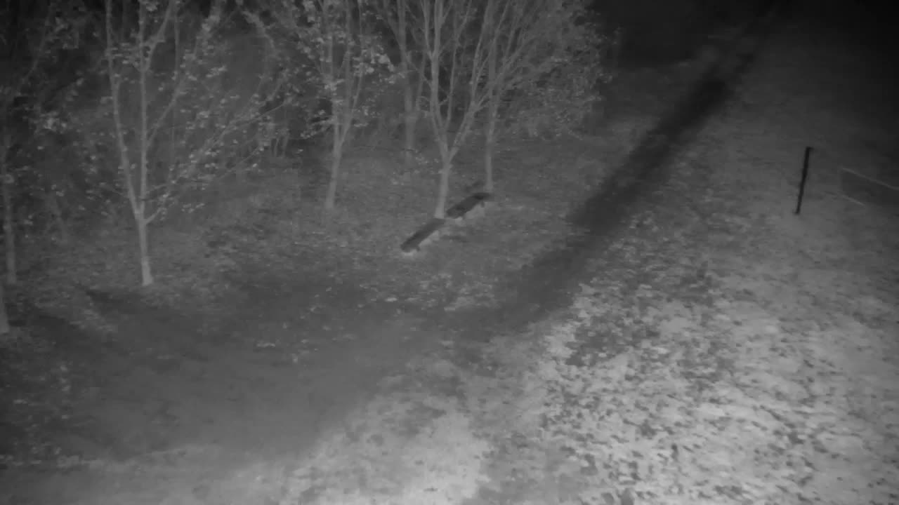 Spletna kamera Ribnik Vrbje – Žalec