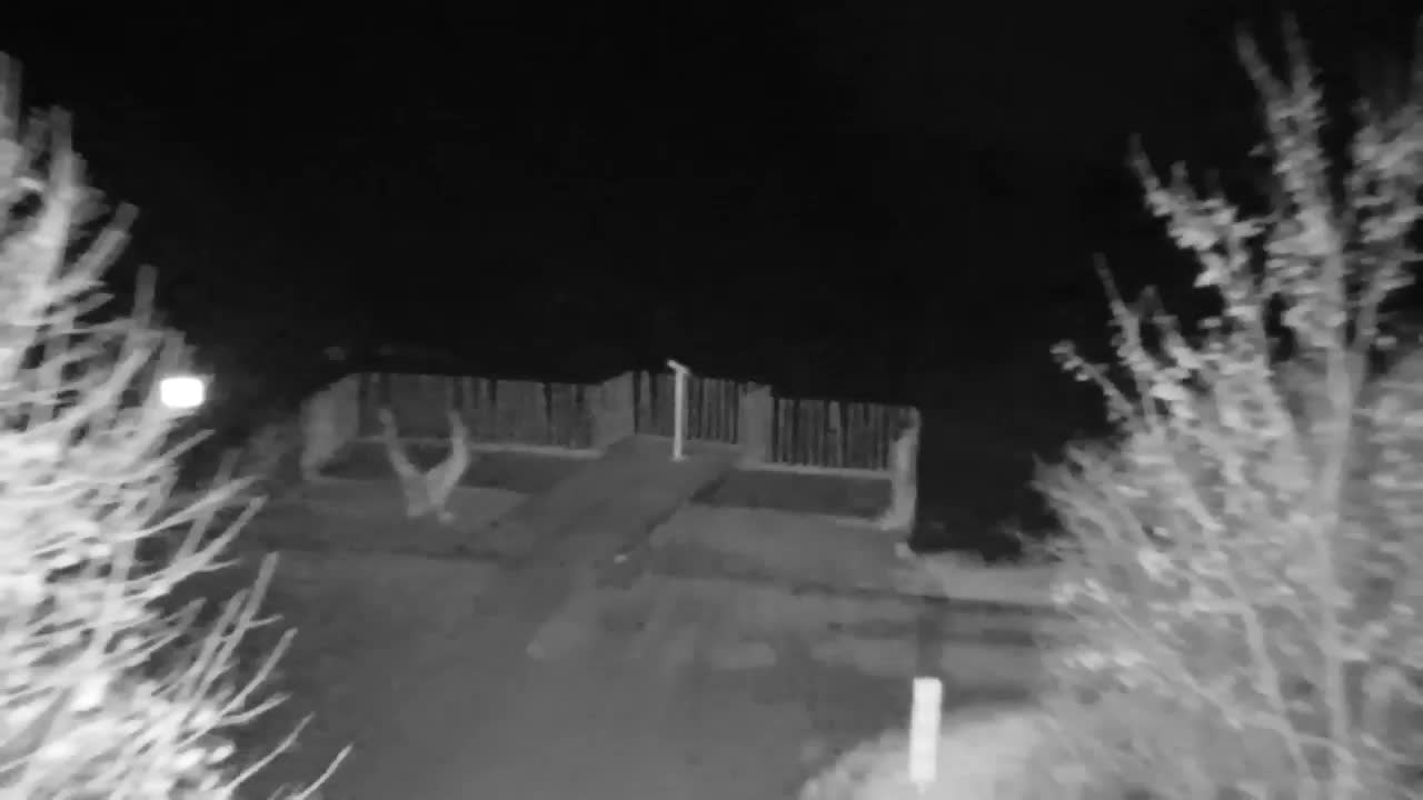 Webcam Ribnik Vrbje – Žalec