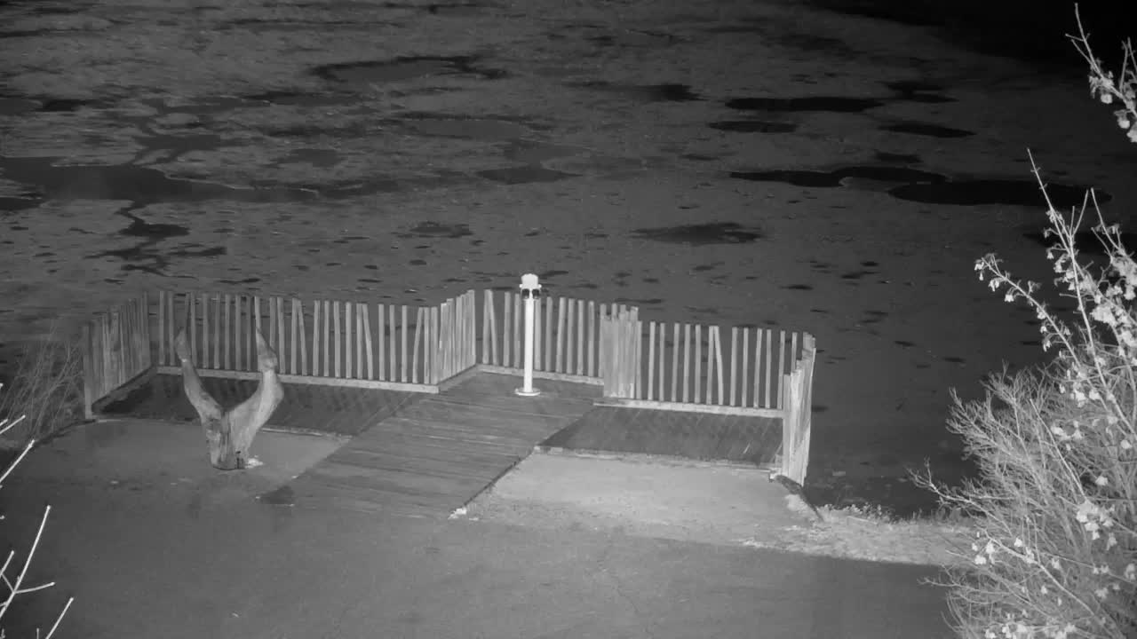 Spletna kamera Ribnik Vrbje – Žalec