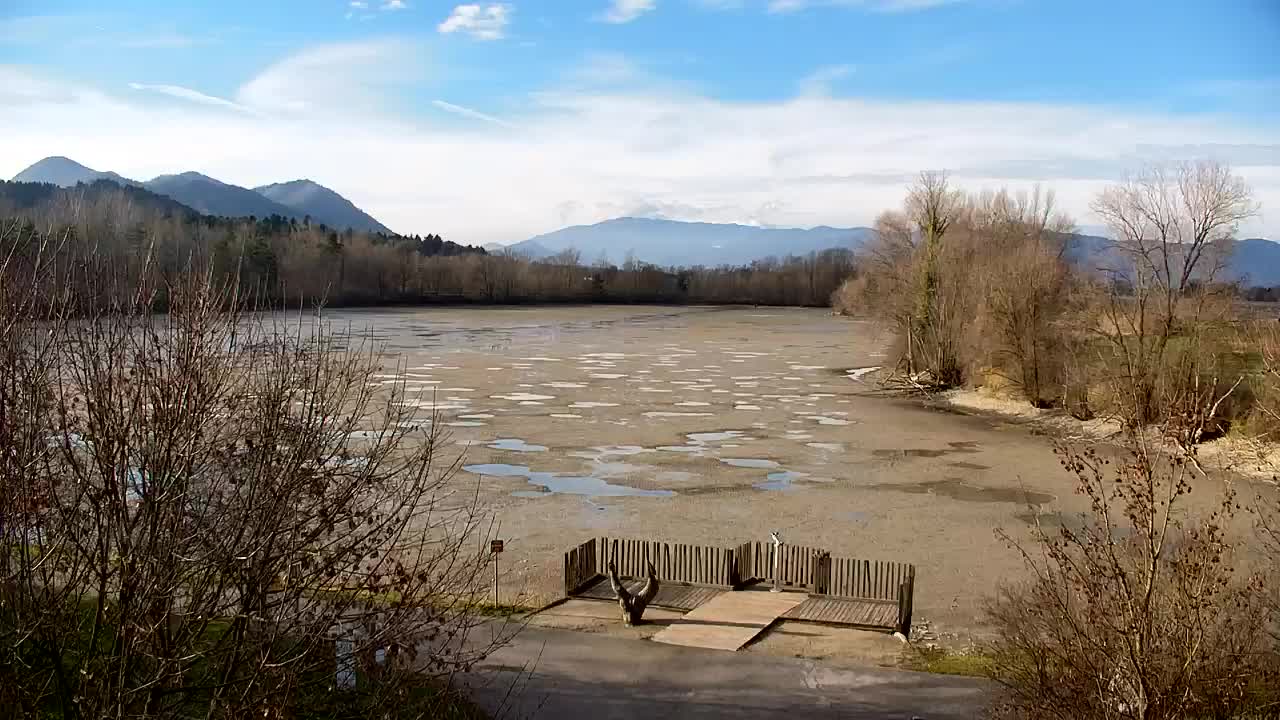 Webcam Ribnik Vrbje – Žalec