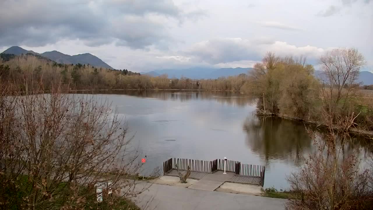 Webcam Ribnik Vrbje – Žalec