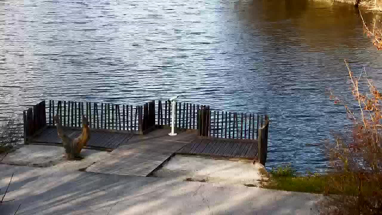 Spletna kamera Ribnik Vrbje – Žalec