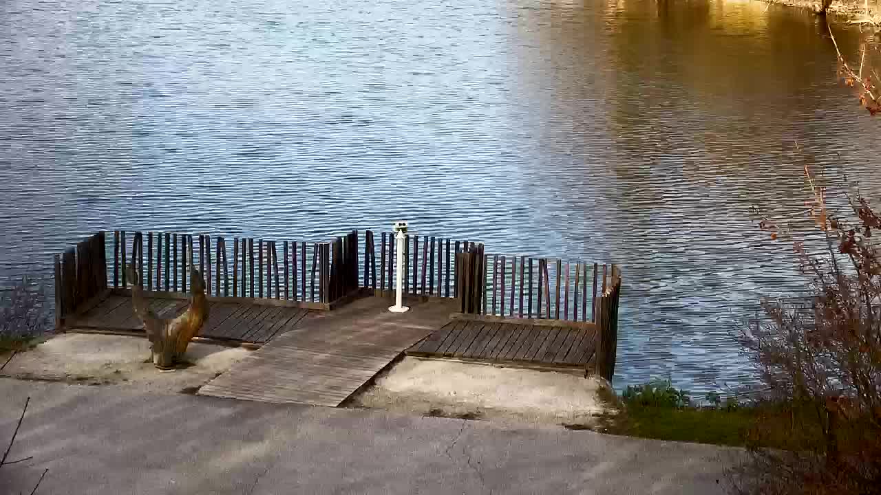 Webcam Ribnik Vrbje – Žalec