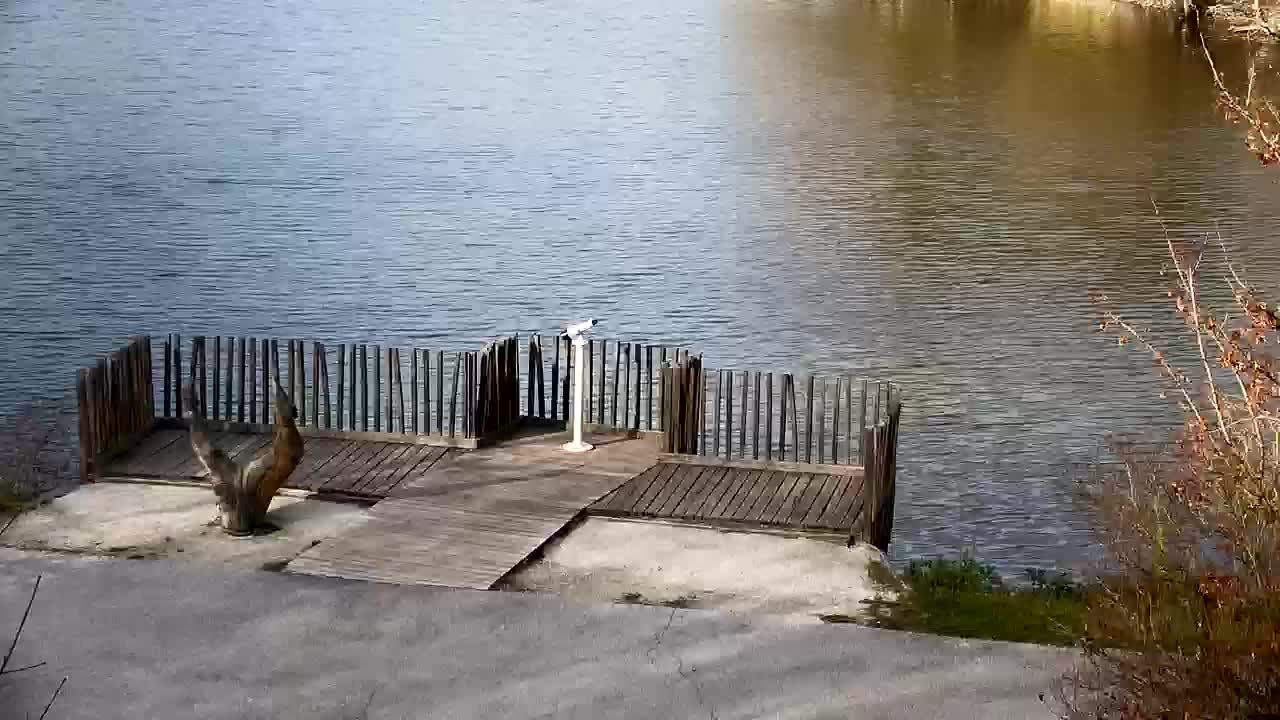 Webcam Ribnik Vrbje – Žalec