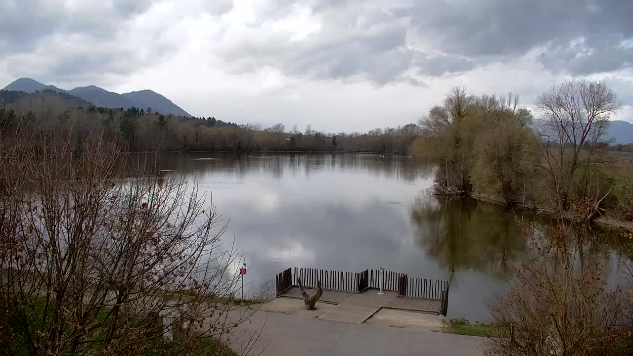 Webcam Ribnik Vrbje – Žalec