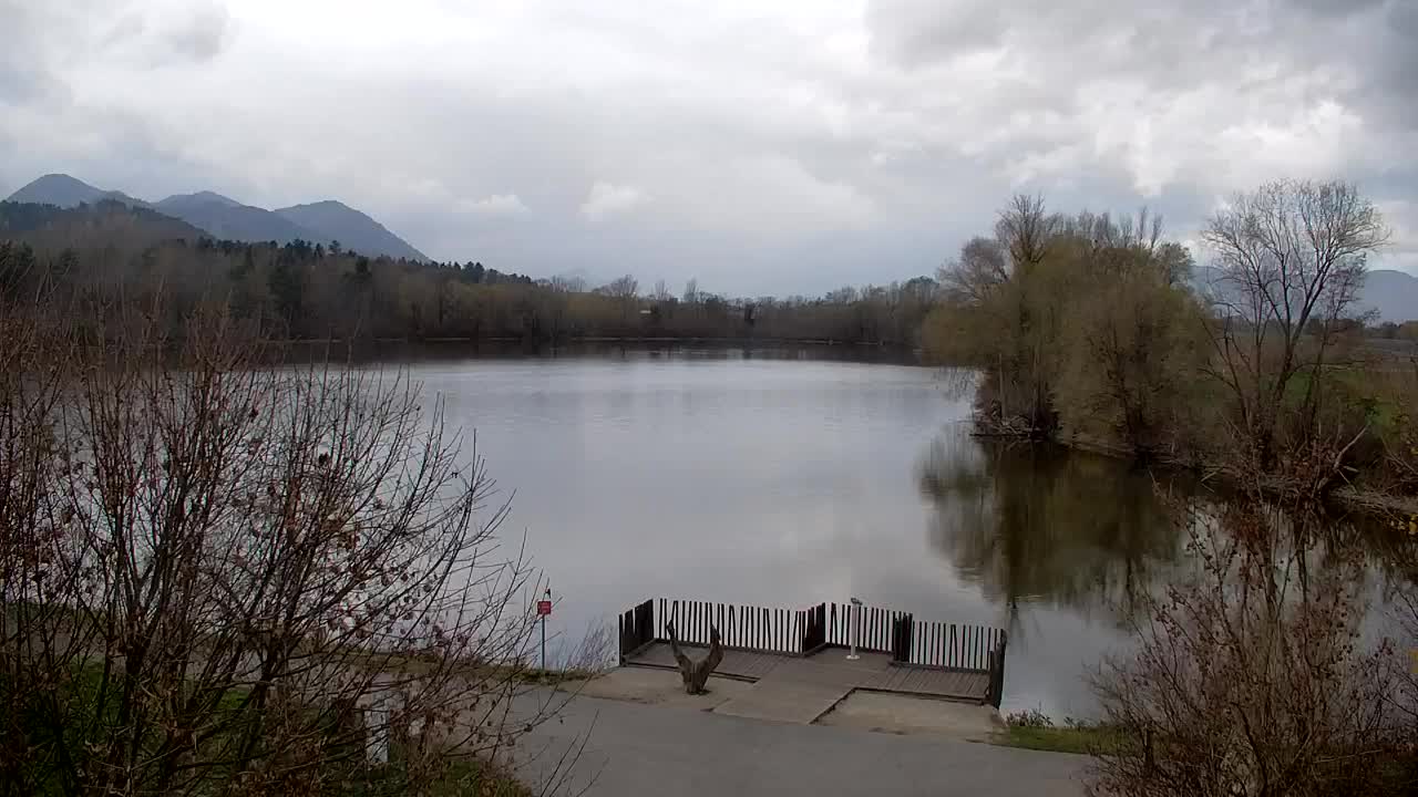 Web kamera Ribnik Vrbje – Žalec