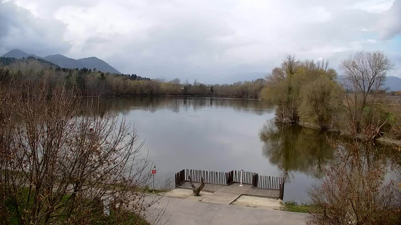 Webcam Ribnik Vrbje – Žalec