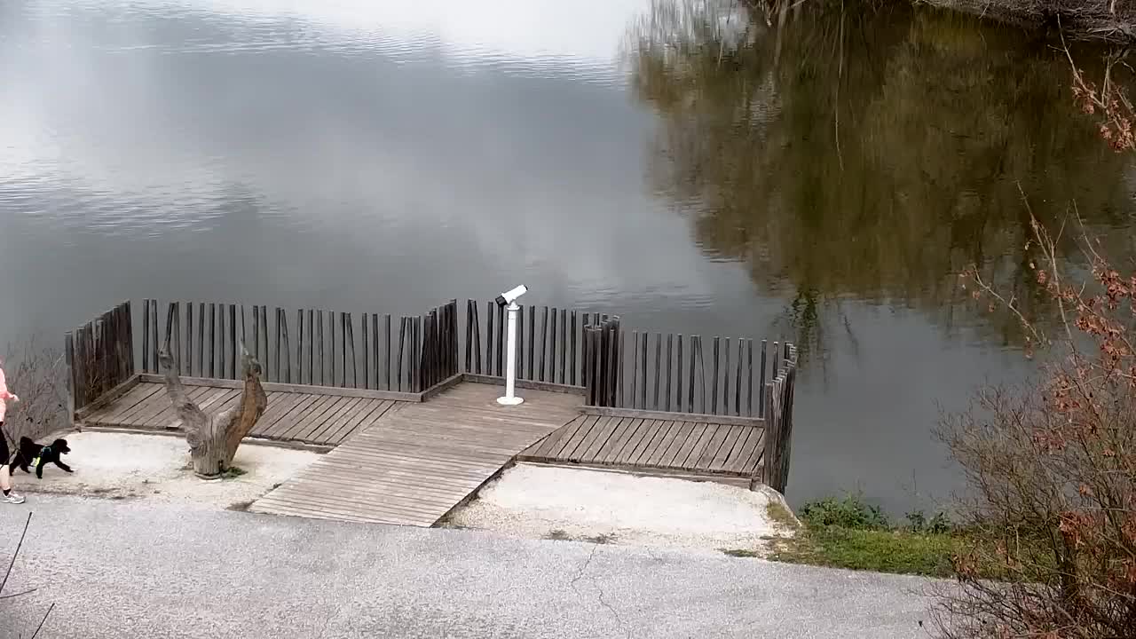 Webcam Ribnik Vrbje – Žalec