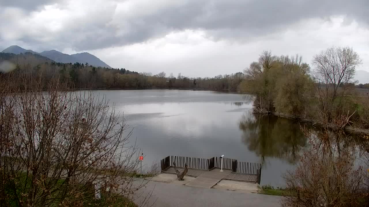 Webcam Ribnik Vrbje – Žalec