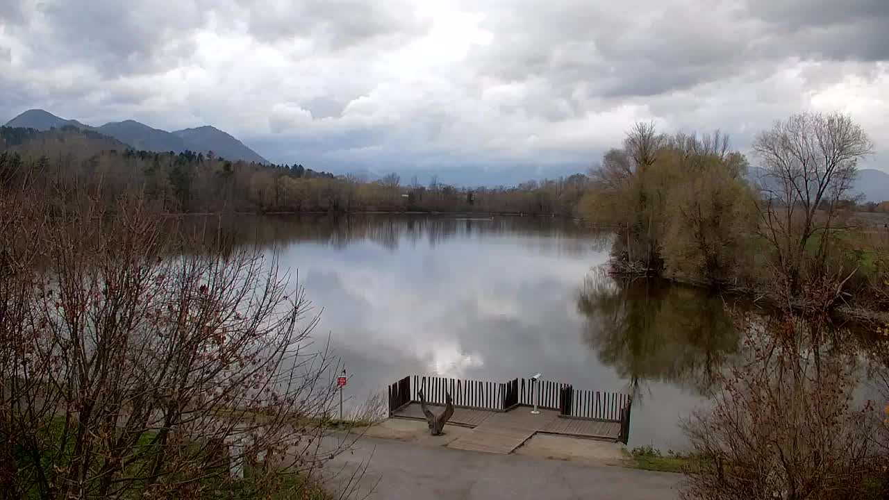 Webcam Ribnik Vrbje – Žalec