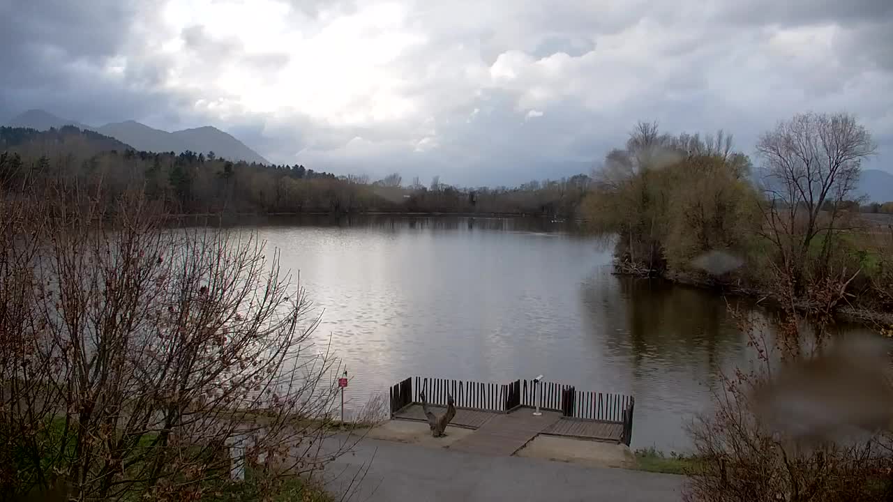 Webcam Ribnik Vrbje – Žalec