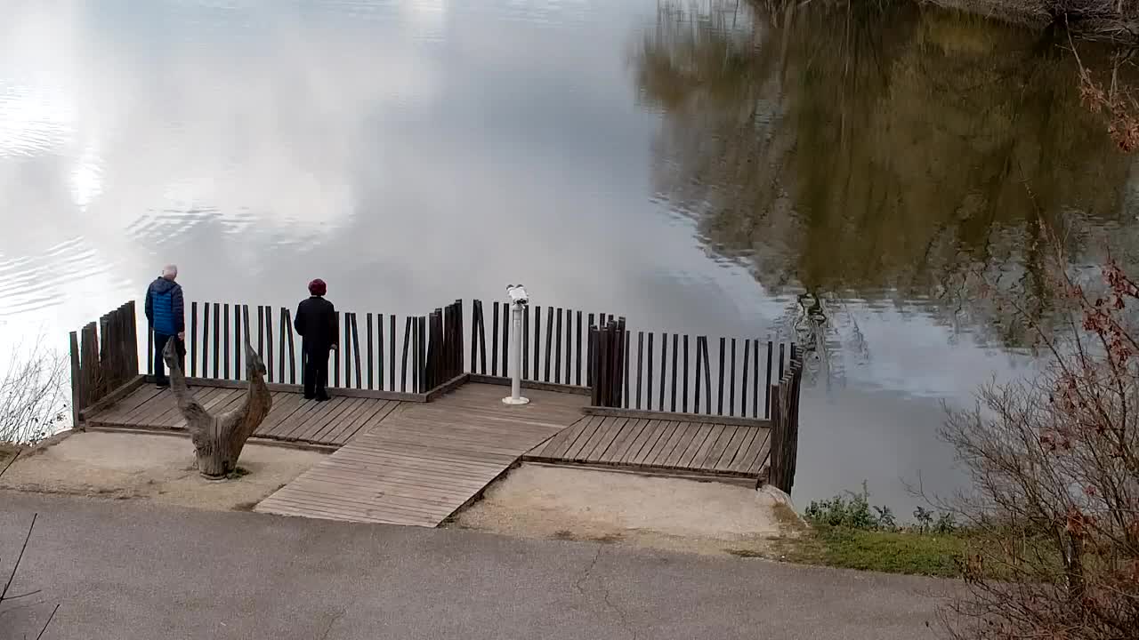 Webcam Ribnik Vrbje – Žalec