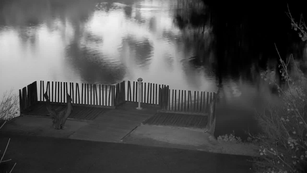 Webcam Ribnik Vrbje – Žalec