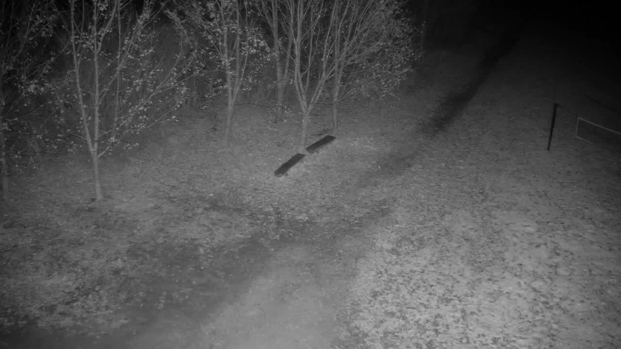 Webcam Ribnik Vrbje – Žalec