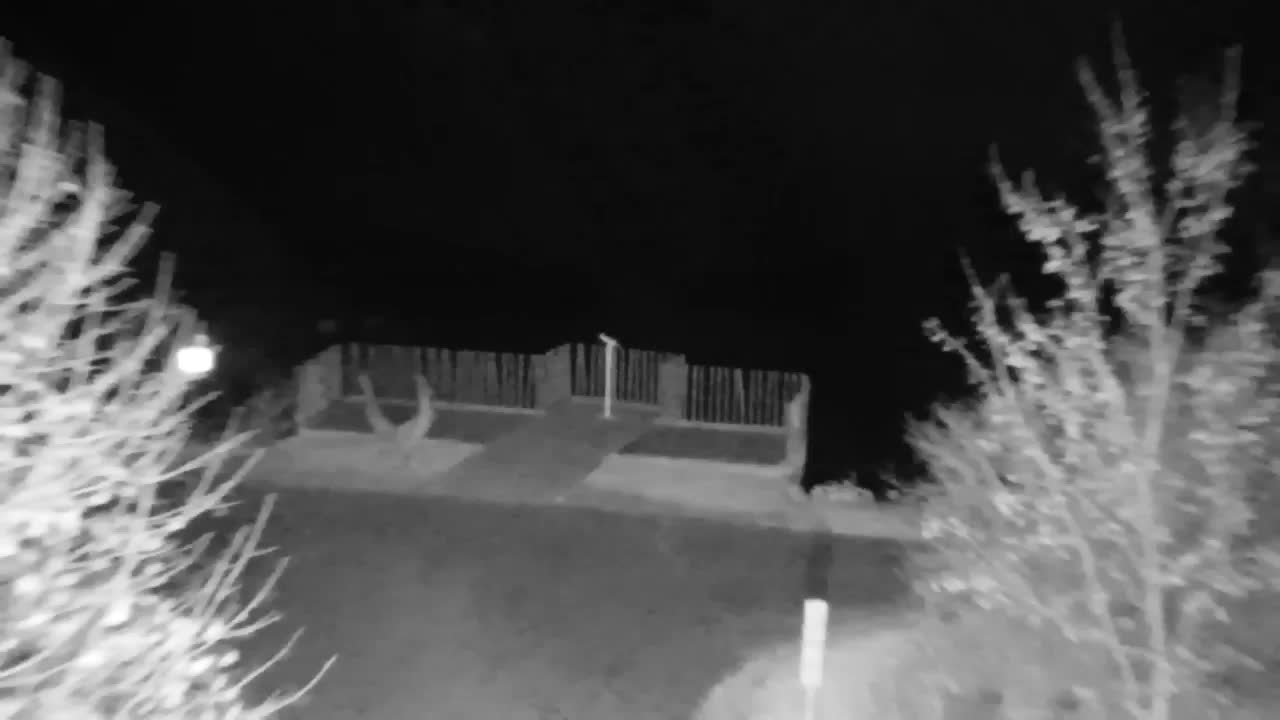 Webcam Ribnik Vrbje – Žalec