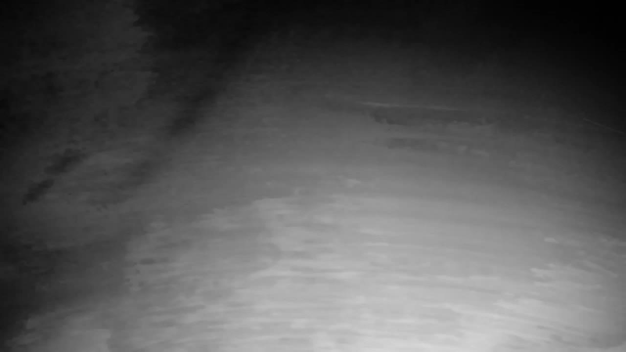 Webcam Ribnik Vrbje – Žalec