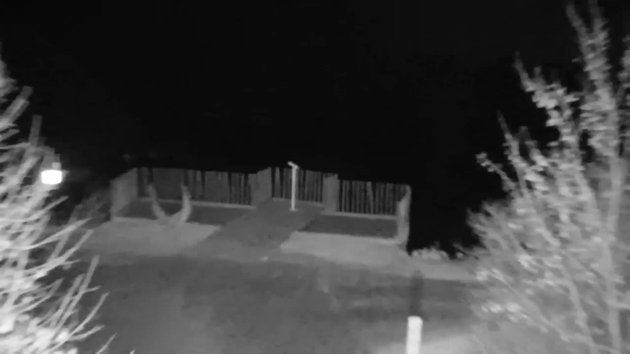 Webcam Ribnik Vrbje – Žalec