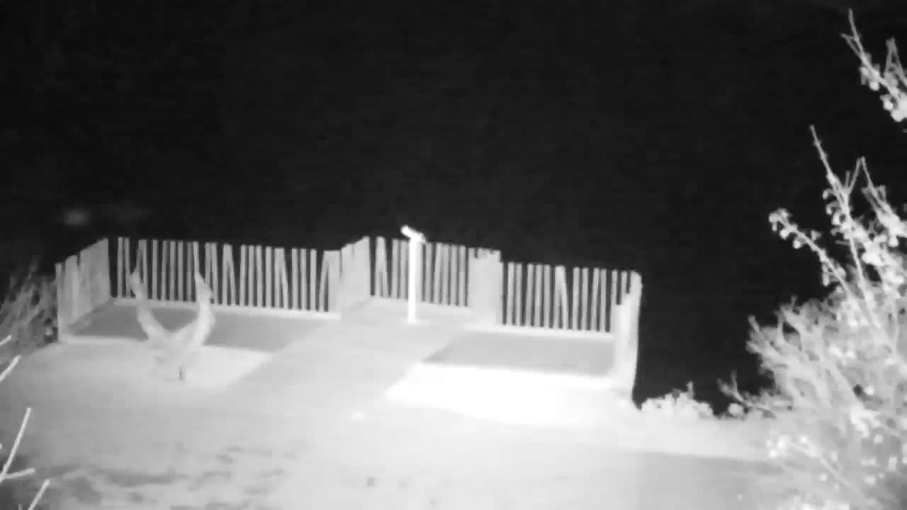 Webcam Ribnik Vrbje – Žalec