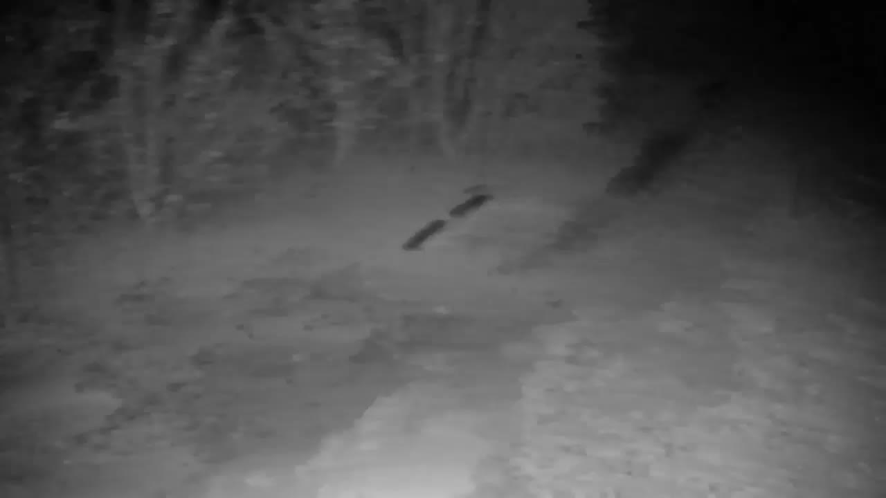 Webcam Ribnik Vrbje – Žalec