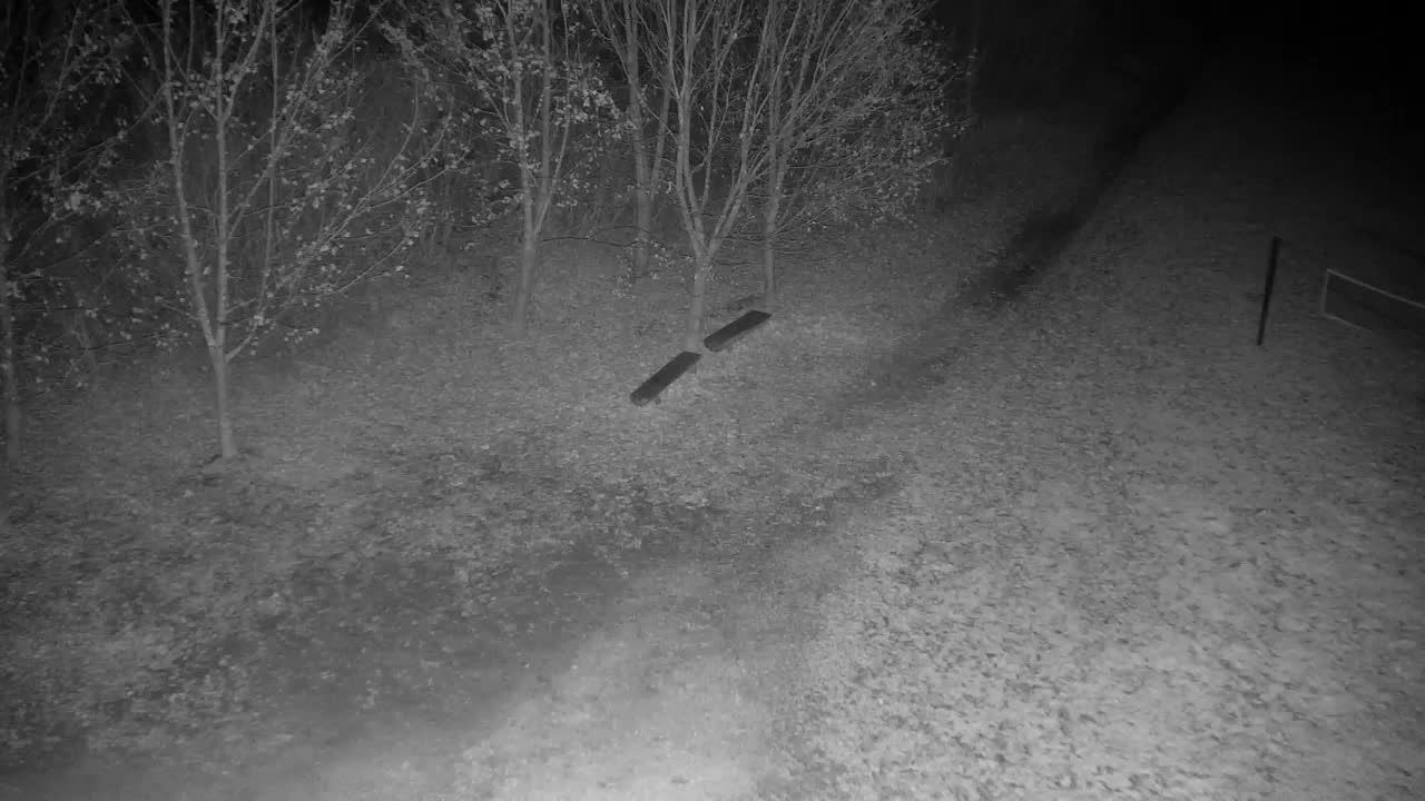 Webcam Ribnik Vrbje – Žalec