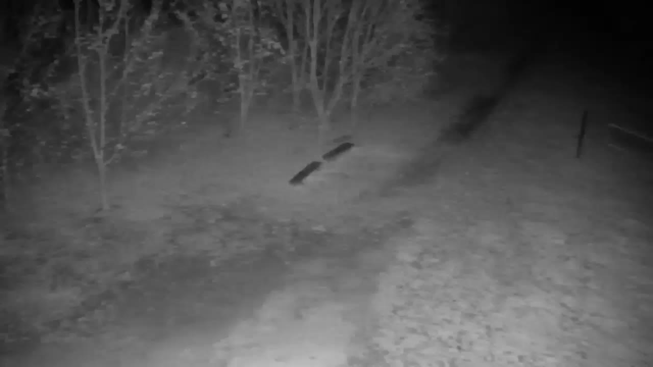 Spletna kamera Ribnik Vrbje – Žalec