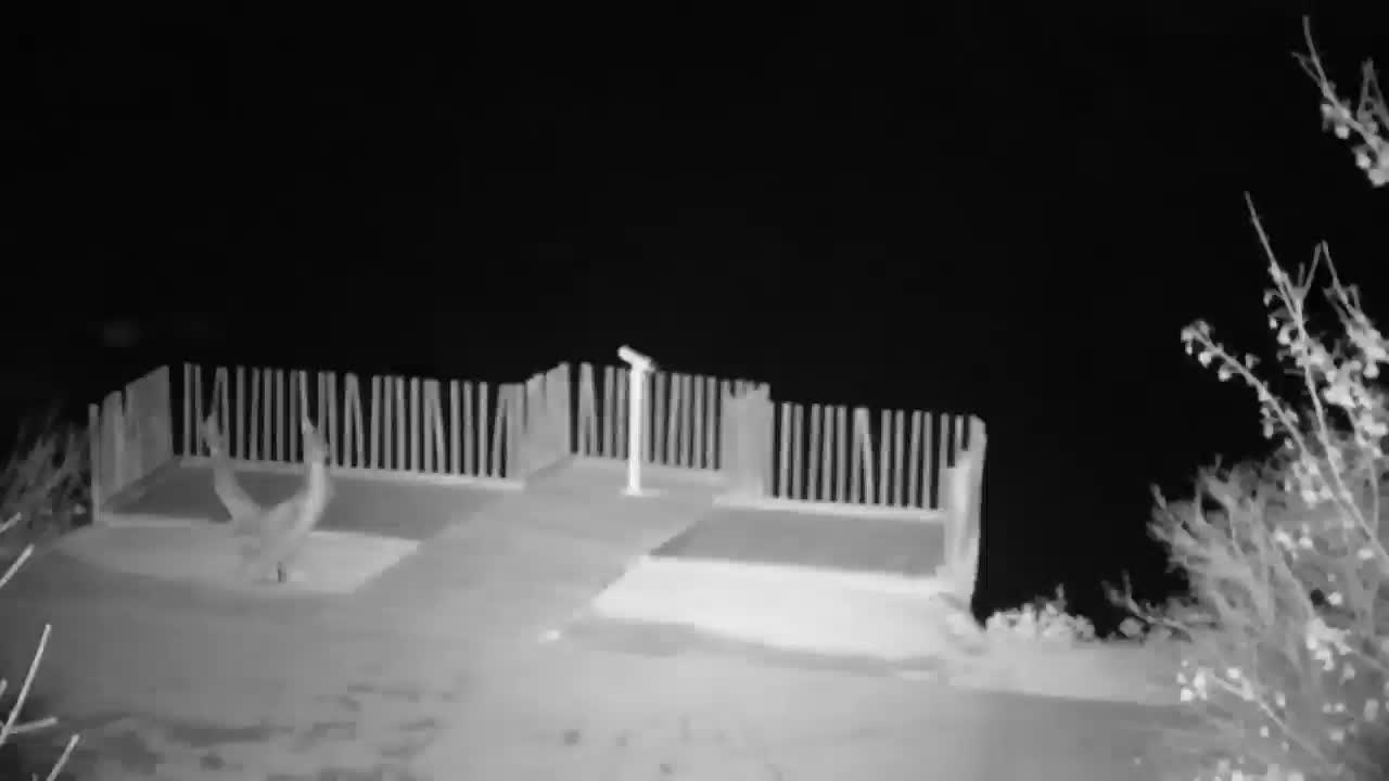 Webcam Ribnik Vrbje – Žalec