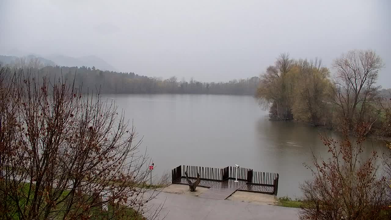 Webcam Ribnik Vrbje – Žalec