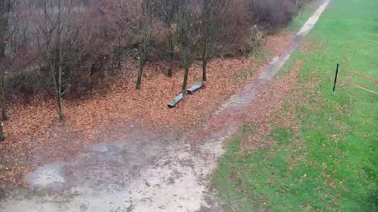 Webcam Ribnik Vrbje – Žalec