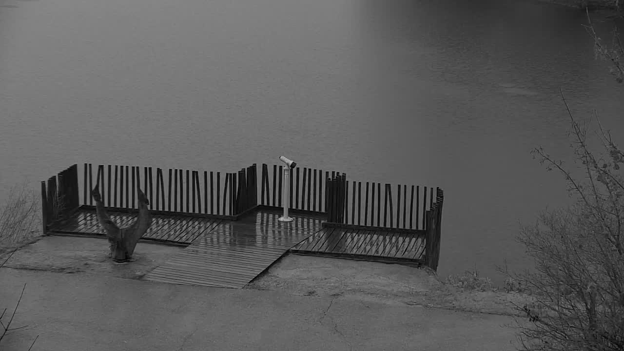 Webcam Ribnik Vrbje – Žalec