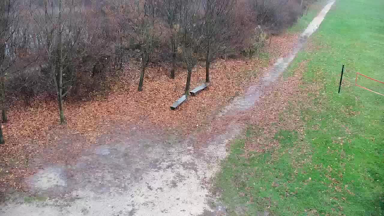 Spletna kamera Ribnik Vrbje – Žalec