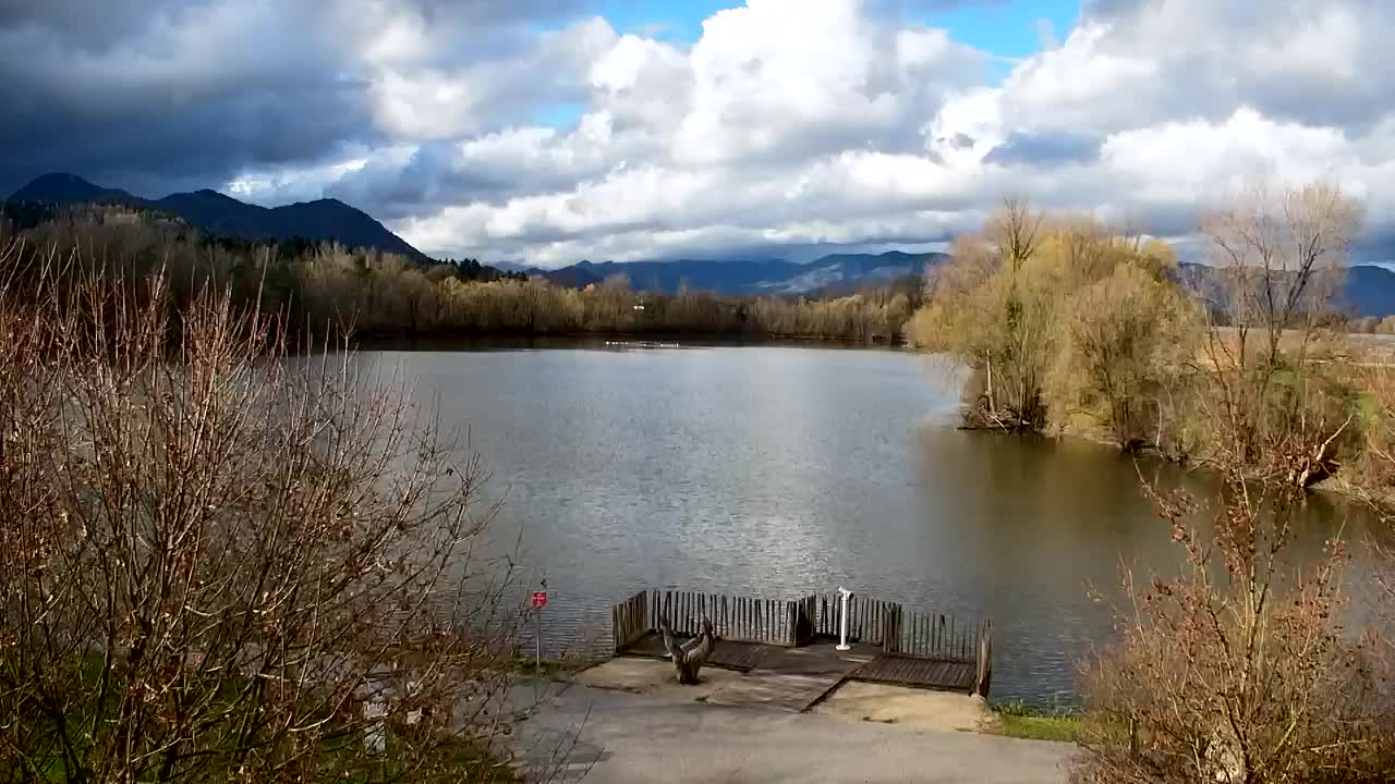 Webcam Ribnik Vrbje – Žalec