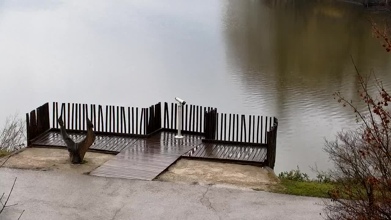 Webcam Ribnik Vrbje – Žalec