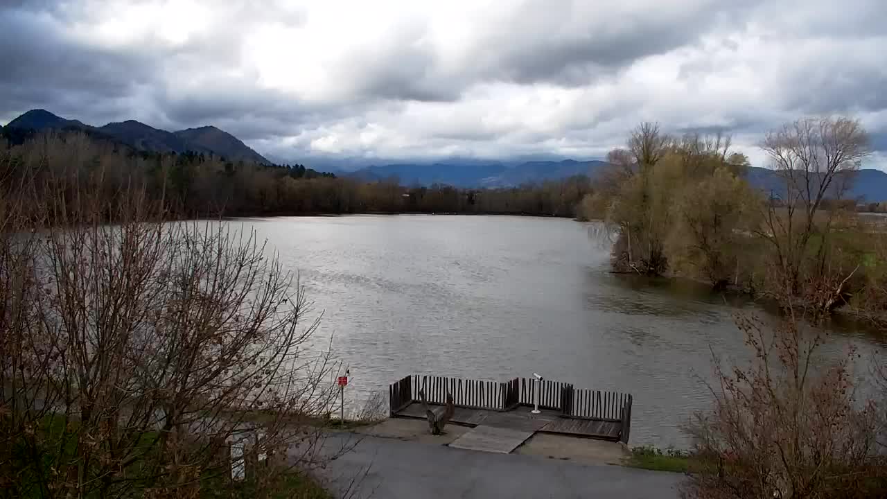 Web kamera Ribnik Vrbje – Žalec