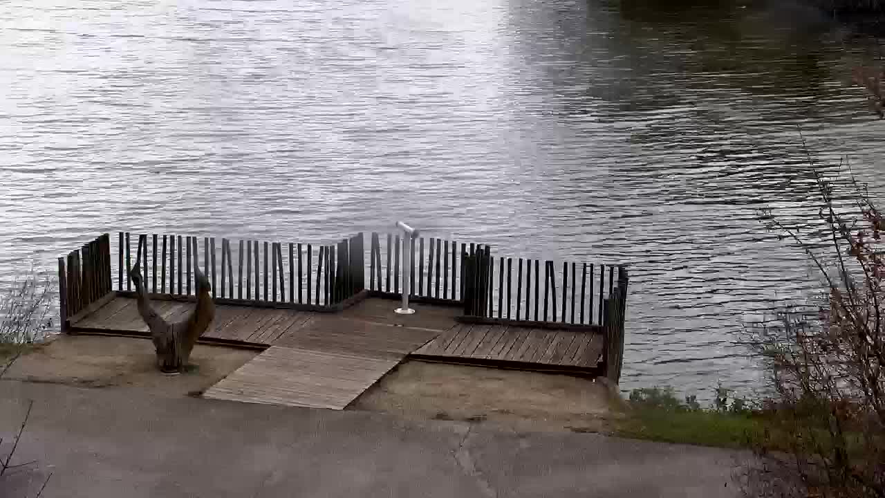 Webcam Ribnik Vrbje – Žalec