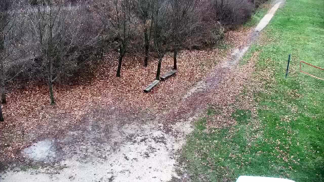 Webcam Ribnik Vrbje – Žalec