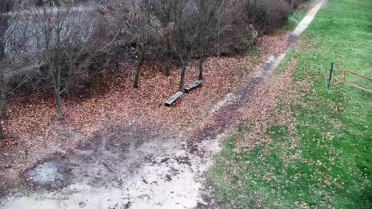 Webcam Ribnik Vrbje – Žalec