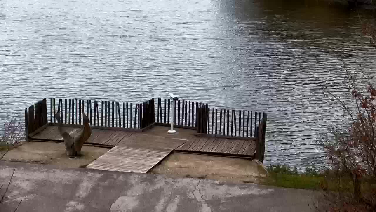 Webcam Ribnik Vrbje – Žalec