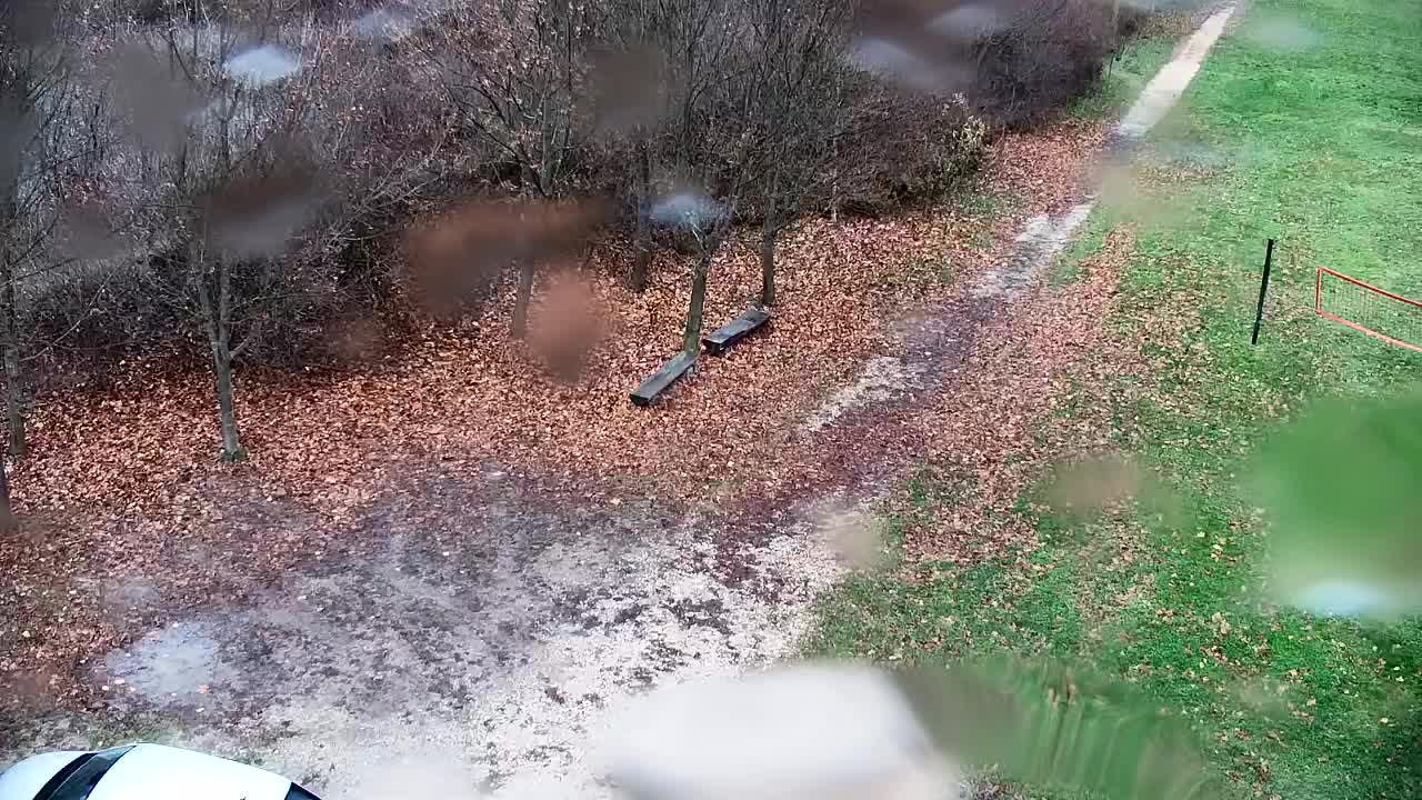 Webcam Ribnik Vrbje – Žalec