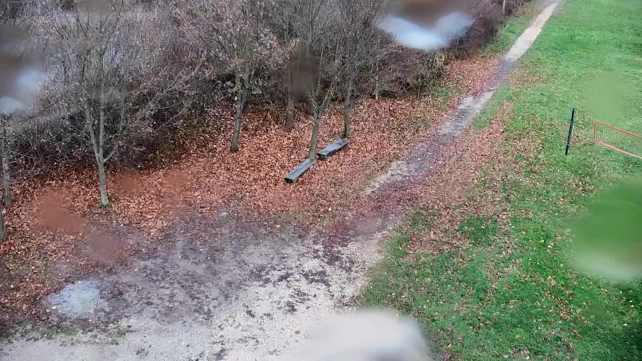 Webcam Ribnik Vrbje – Žalec